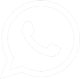 WhatsApp icon